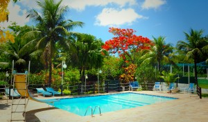 Piscina panorâmica